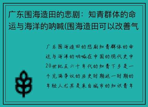 广东围海造田的悲剧：知青群体的命运与海洋的呐喊(围海造田可以改善气候吗)