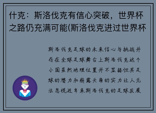 什克：斯洛伐克有信心突破，世界杯之路仍充满可能(斯洛伐克进过世界杯吗)