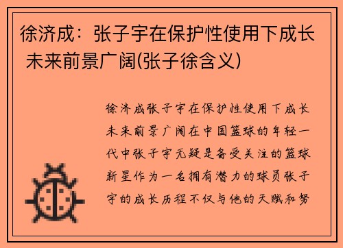 徐济成：张子宇在保护性使用下成长 未来前景广阔(张子徐含义)